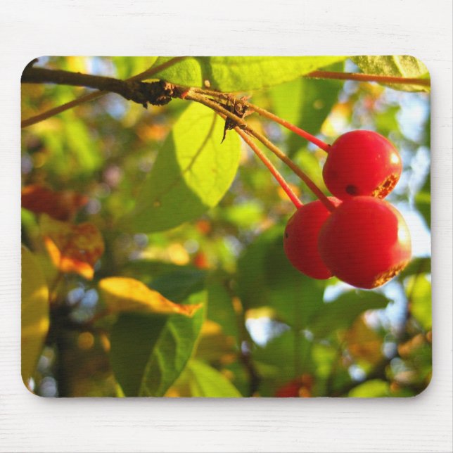 Blühender Crabapple Fall Mousepad (Vorne)