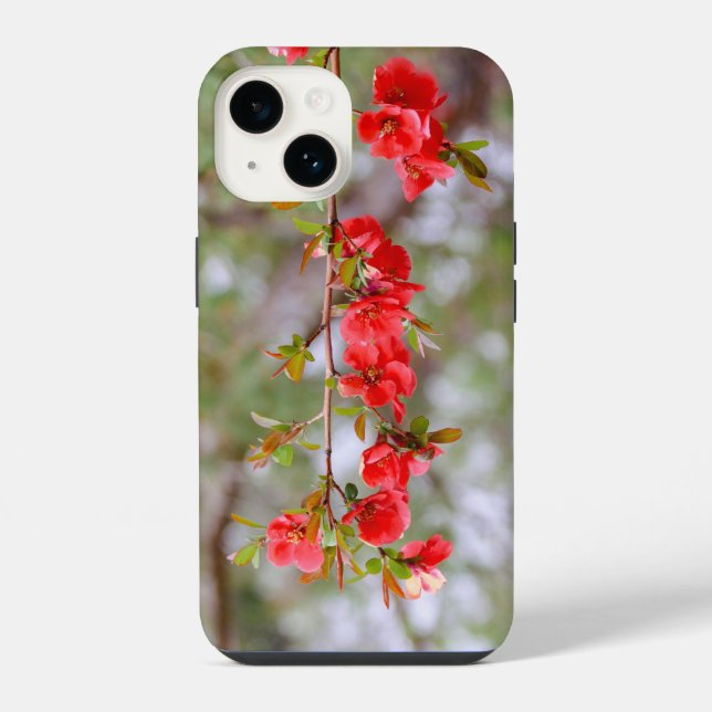 Blühender Frühling iPhone Hülle (Rückseite)
