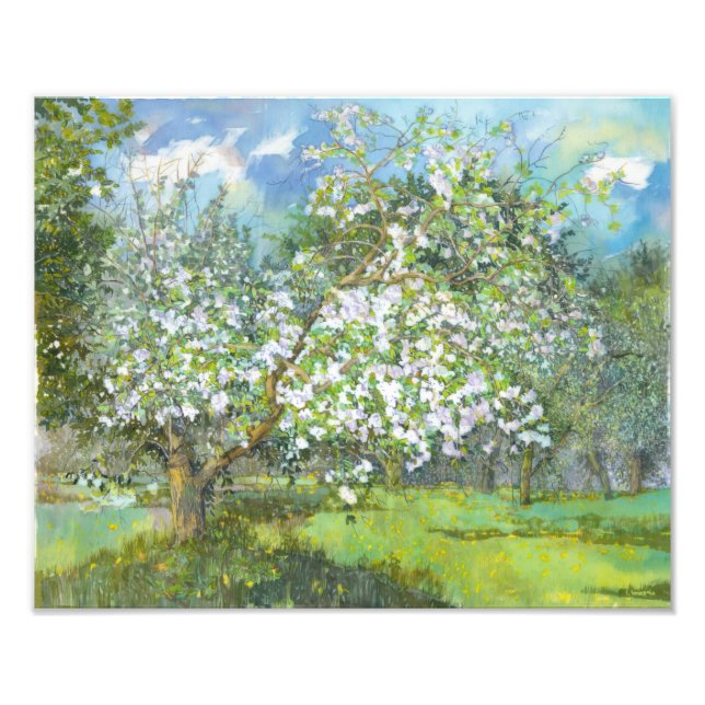 blühender Garten Fotodruck (Vorne)