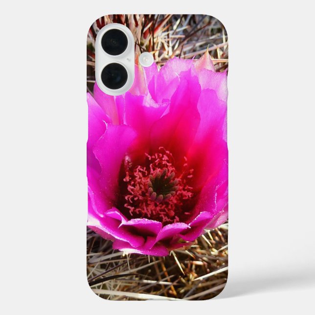 Blühender Kaktus (Feigenkaktus) Wildblume Case-Mate iPhone Hülle (Rückseite)