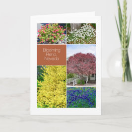 Blühender Reno, Nevada, Blume Fotos Karte