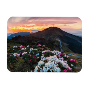 Blühender Taroko Nationalpark des Rhododendron- Magnet