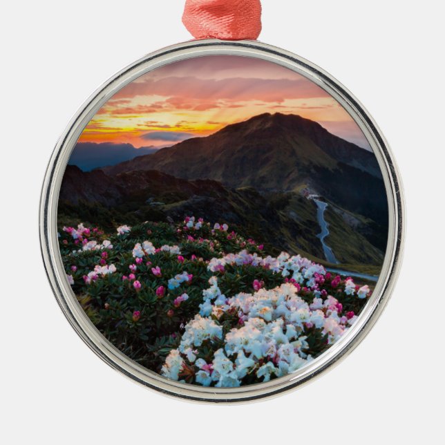 Blühender | Taroko Nationalpark des Rhododendron- Ornament Aus Metall (Vorne)