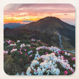 Blühender Taroko Nationalpark des Rhododendron- Rechteckiger Pappuntersetzer