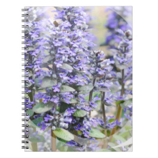 Blühendes Ajuga-Notizbuch Notizblock