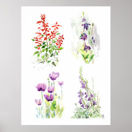 Blühendes Gartenquartett  Vier botanische Aquarell Poster