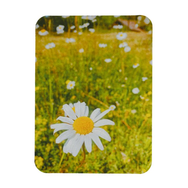Blühendes skandinavisches Sommerfeld  Magnet (Vertikal)