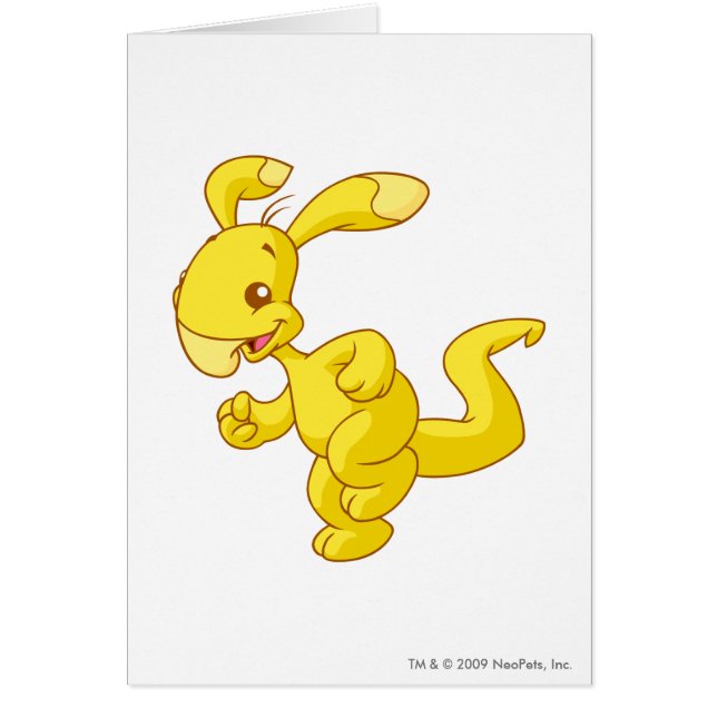 Blumaroo Gold (Vorne)