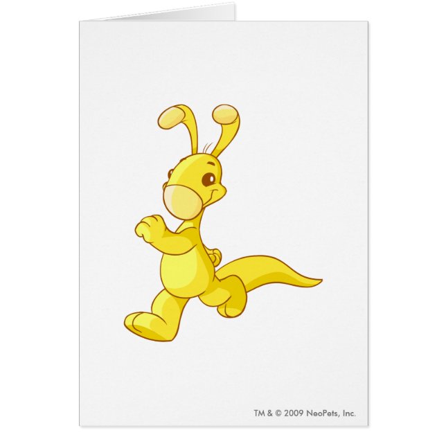 Blumaroo Gold (Vorne)