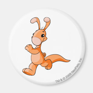 Blumaroo Orange Magnet