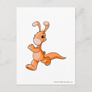 Blumaroo Orange Postkarte