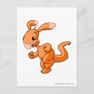 Blumaroo Orange Postkarte