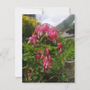 Blume