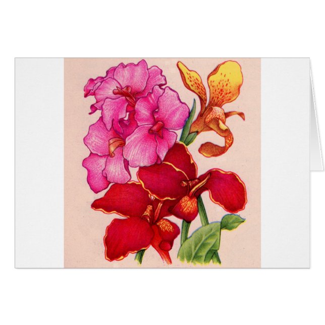 Blume (Vorderseite (Horizontal))