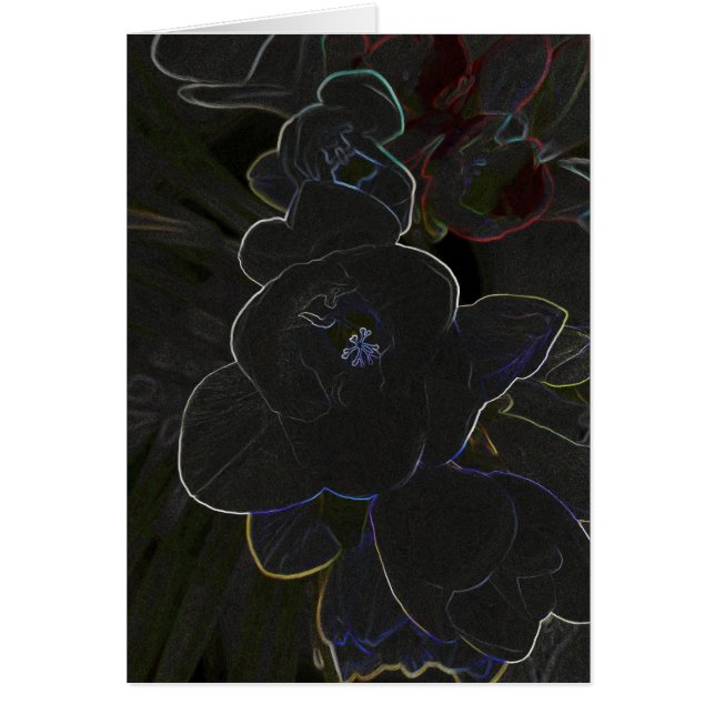 Blume (Vorne)