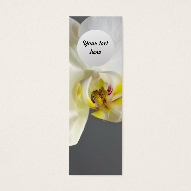 Blume (Vorderseite)