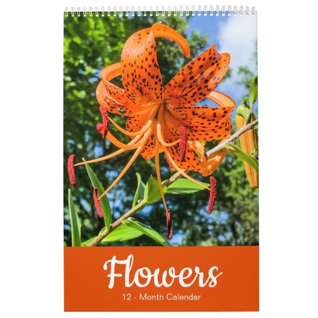 BLUME 12 Monate Schöne Blumenpracht Kalender (Titelbild)