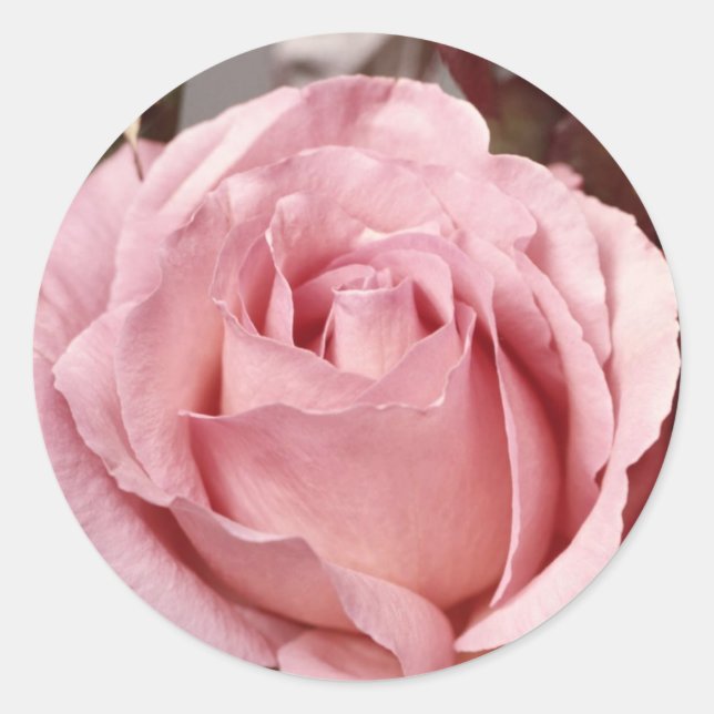 Blume 137 runder aufkleber (Vorderseite)