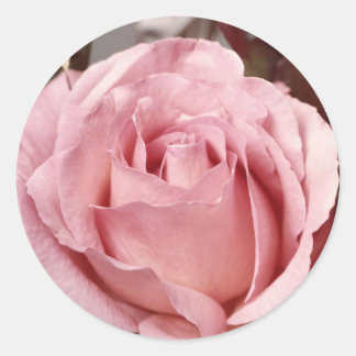 Blume 137 runder aufkleber