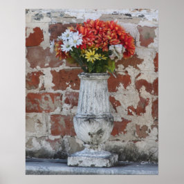 Blume 16x20 Poster