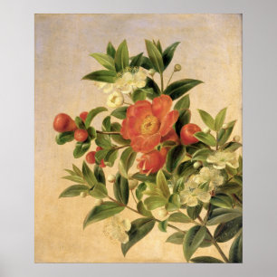 Blume, 1835 poster