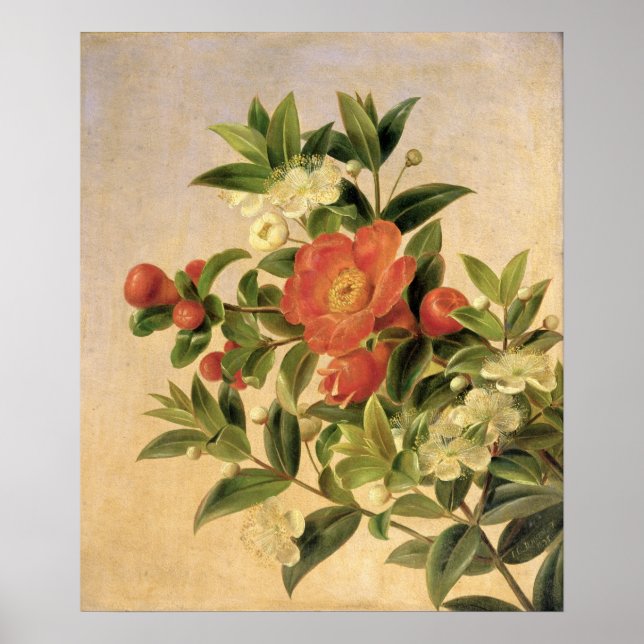 Blume, 1835 poster (Vorne)