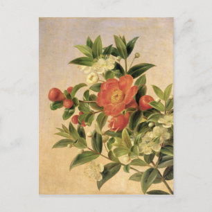 Blume, 1835 postkarte