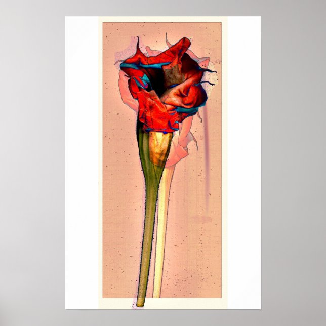 Blume #1 poster (Vorne)