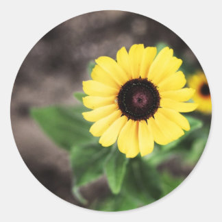 BLUME 1 RUNDER AUFKLEBER