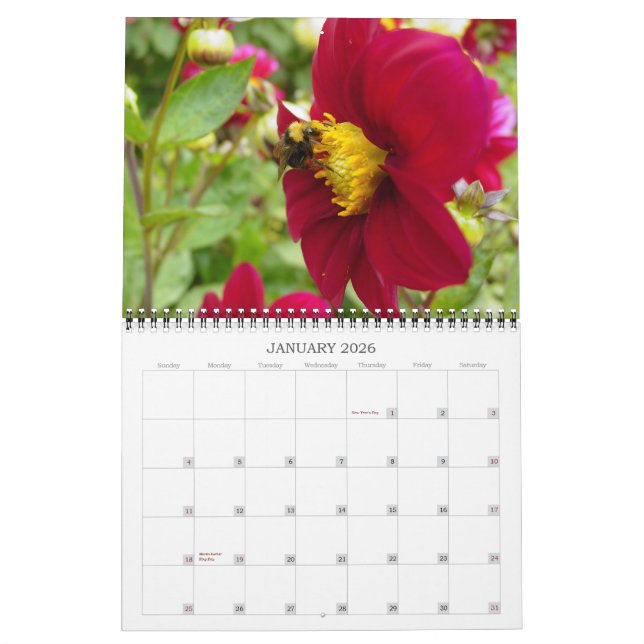Blume 2007 kalender (Jan 2026)