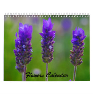 Blume 2009 kalender