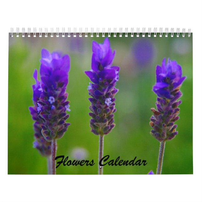 Blume 2009 kalender (Titelbild)