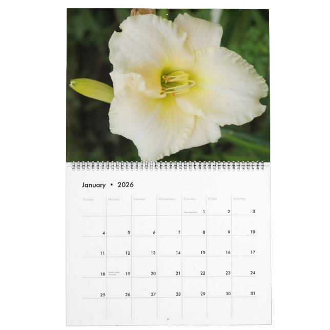 Blume 2011 kalender (Jan 2026)