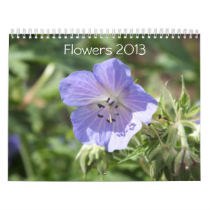 BLUME 2013 KALENDER (16 MONATE)