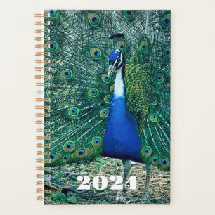 Blume 2024 Planer