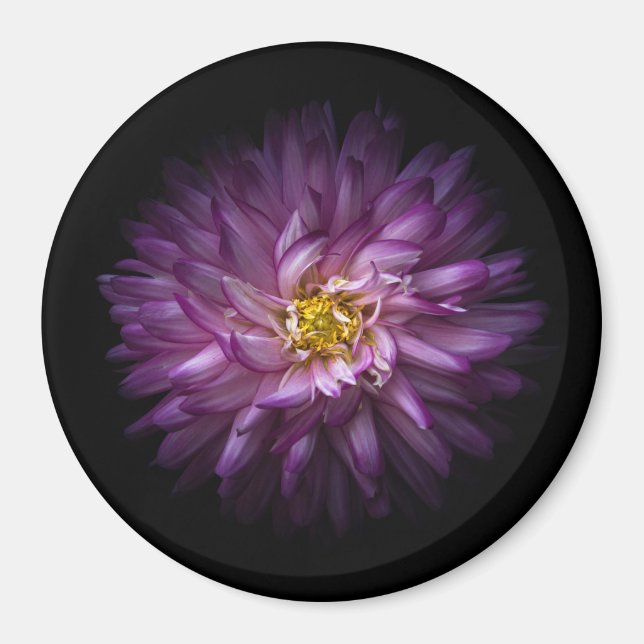 Blume 20 magnet (Vorne)