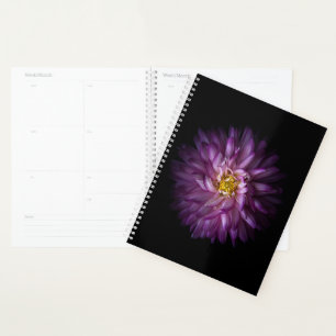 Blume 20 planer