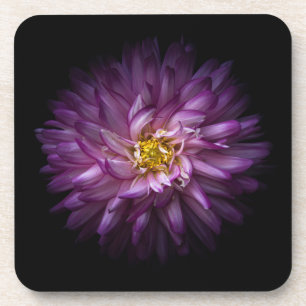 Blume 20 untersetzer