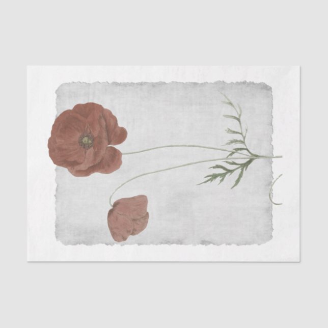 Blume 35 Dekopulationspapier Seidenpapier (Vorderseite)