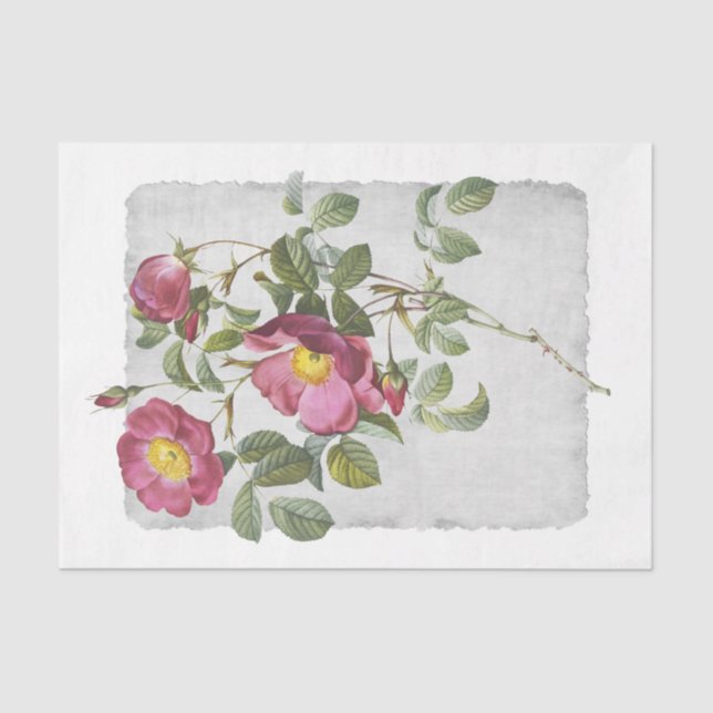 Blume 45 rosafarbenes Tissue Paper Seidenpapier (Vorderseite)