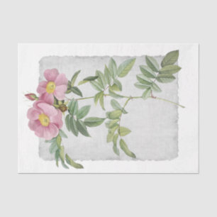Blume 48 Dekoupage Tissue Paper der Prärie-Rose Seidenpapier