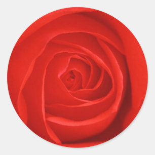 Blume 55 runder aufkleber