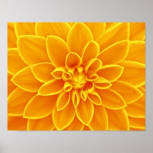 Blume-663650 BRIGHT ORANGE YELLOW FLOWERS Poster