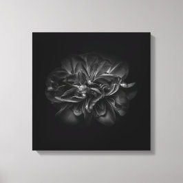 Blume 67 BW Leinwanddruck