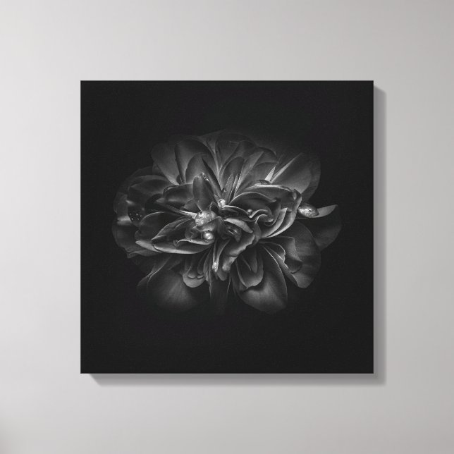 Blume 67 BW Leinwanddruck (Vorderseite)