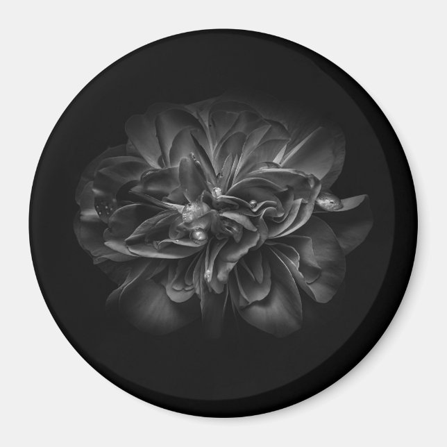 Blume 67 BW Magnet (Vorne)