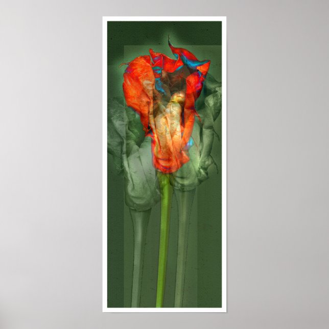 Blume #6 poster (Vorne)
