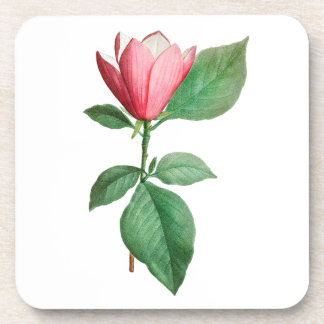 Blume: A001 Lily Magnolia - Getränkeuntersetzer