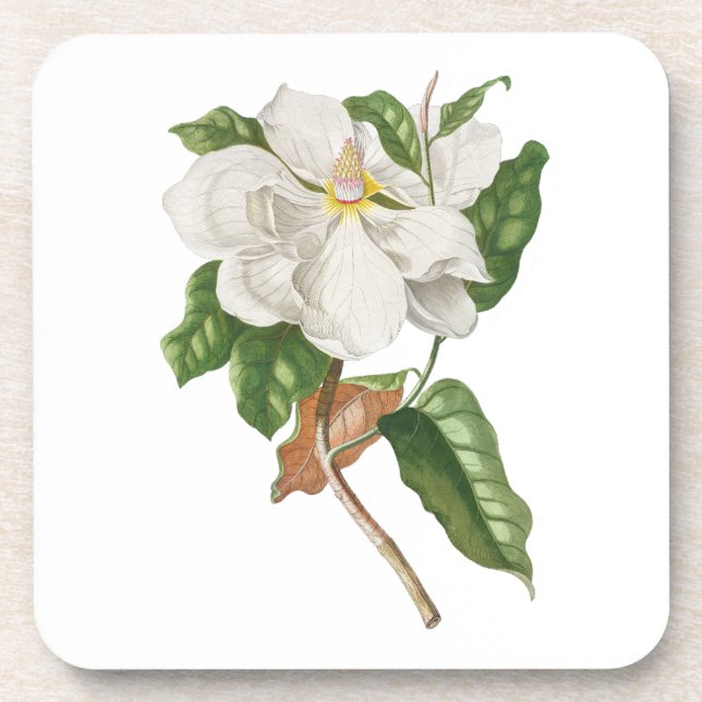 Blume: A004 Magnolia - Getränkeuntersetzer (Vorderseite)