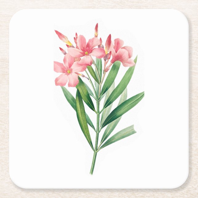 Blume: A005 Oleander - Rechteckiger Pappuntersetzer (Vorderseite)
